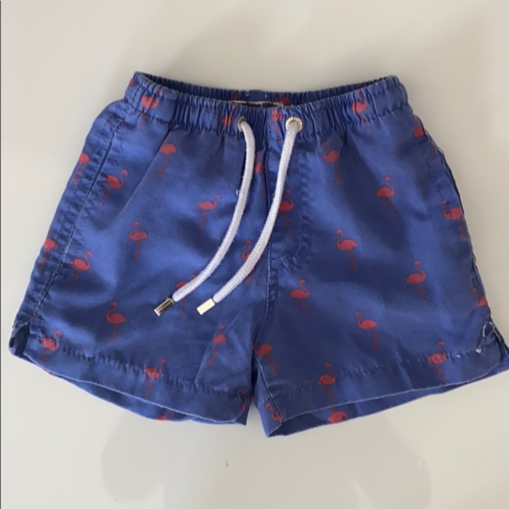 Ingear Flamingo Swim Trunk